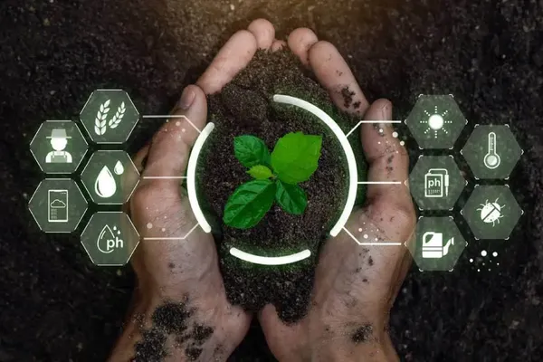 Hạt giống AI trên đất phù sa